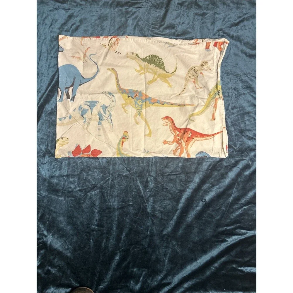 Pottery Barn 26x19 replacement